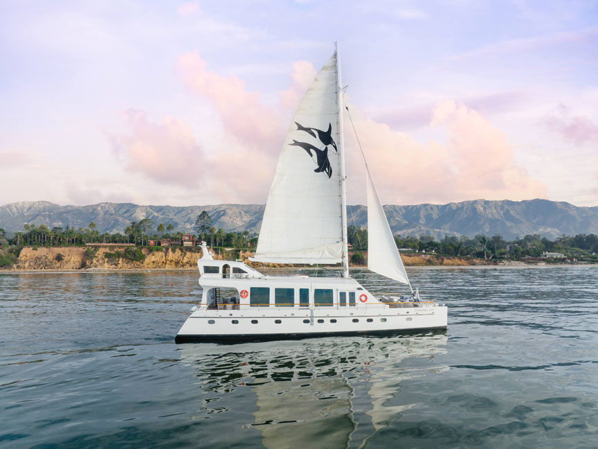 Stegall Studios Interior Design - Santa Barbara Channel Cat