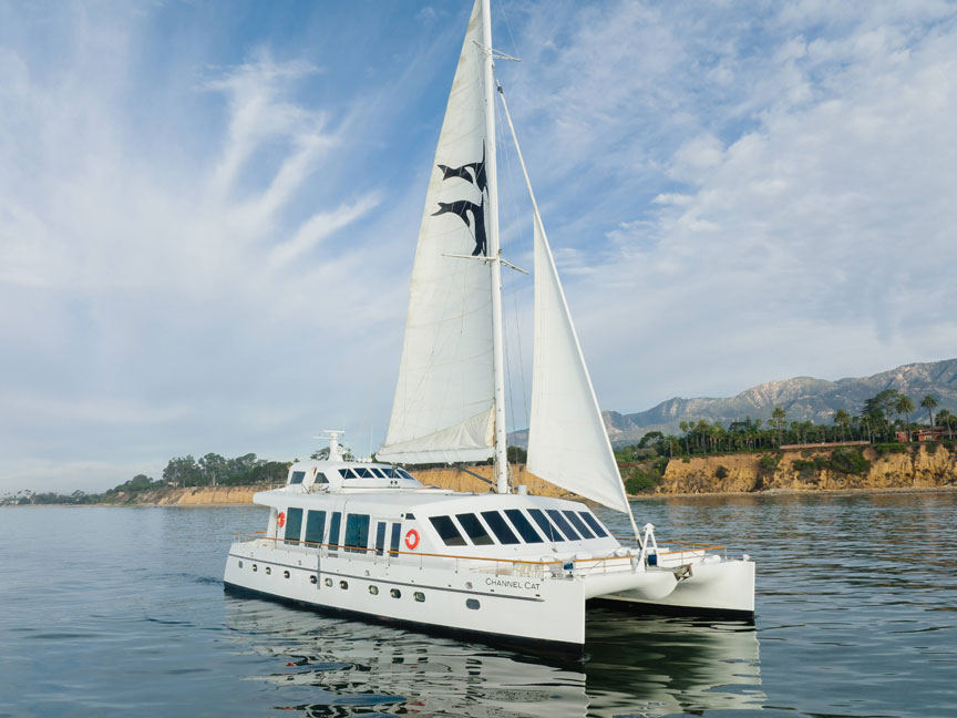 Stegall Studios Interior Design - Santa Barbara Channel Cat