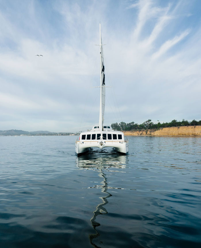 Stegall Studios Interior Design - Santa Barbara Channel Cat