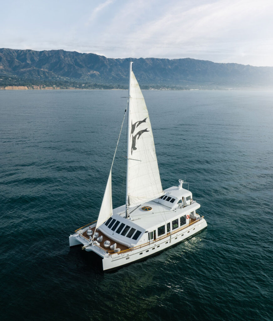 Stegall Studios Interior Design - Santa Barbara Channel Cat